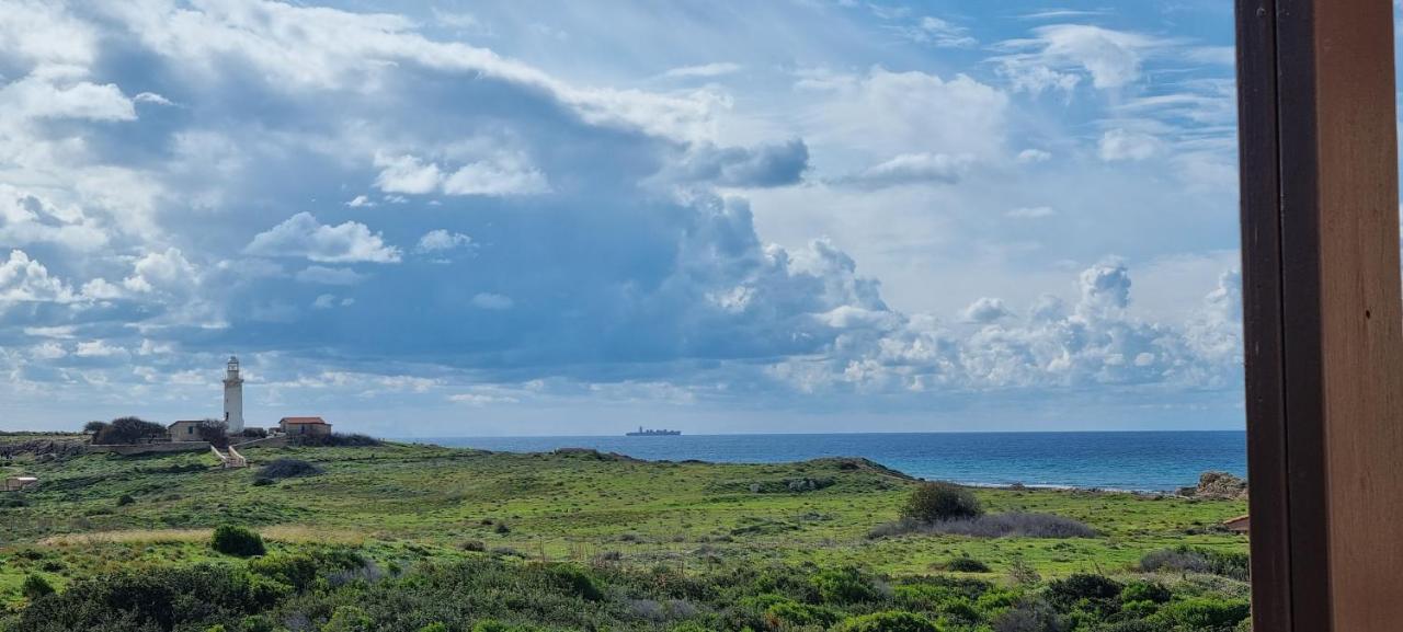 Ancient Paphos - Cozy Place Next To The Sea, Marina, Historical Sites, Buses, Mall, And Market Exteriér fotografie