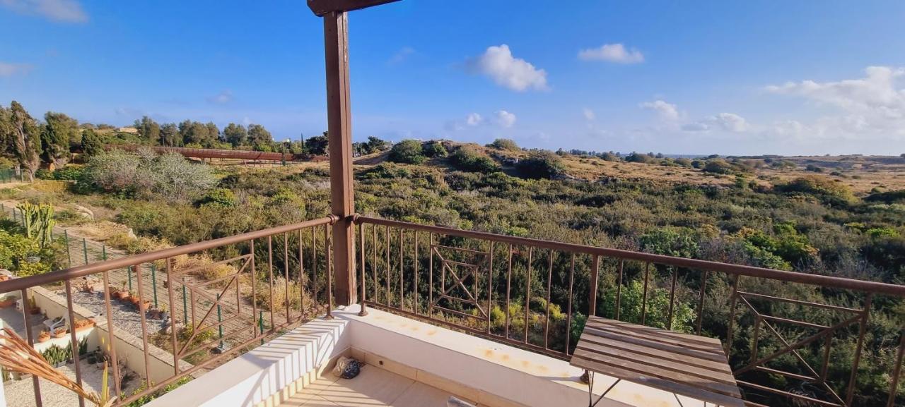 Ancient Paphos - Cozy Place Next To The Sea, Marina, Historical Sites, Buses, Mall, And Market Exteriér fotografie