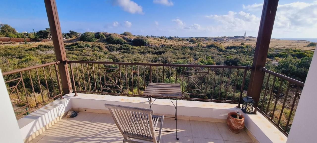 Ancient Paphos - Cozy Place Next To The Sea, Marina, Historical Sites, Buses, Mall, And Market Exteriér fotografie