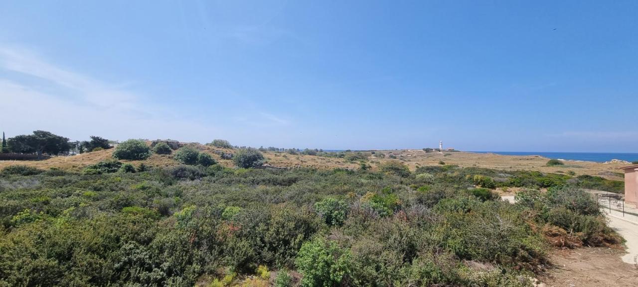 Ancient Paphos - Cozy Place Next To The Sea, Marina, Historical Sites, Buses, Mall, And Market Exteriér fotografie